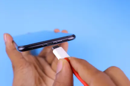 كازينو موبايل وينز تطبيق الهاتف المحمول